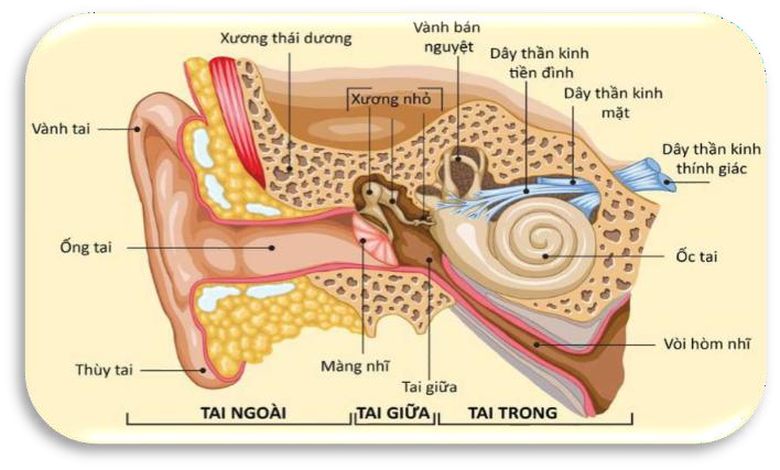 BỆNH ĐIẾC ĐỘT NGỘT